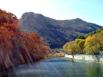 管家婆黑白马报图库，三台seo程序